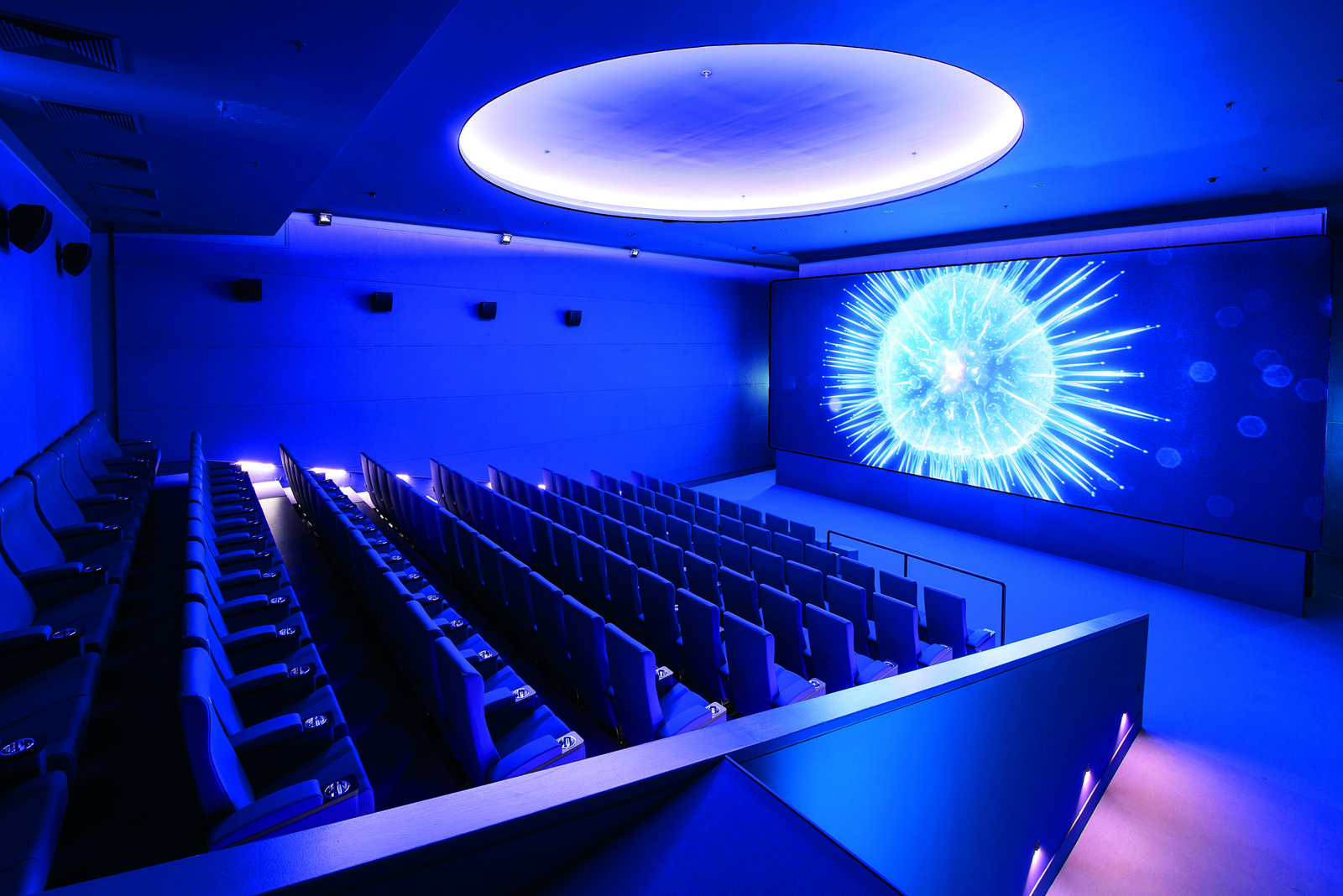 LED Strips & Neonflex Cinema White (8)